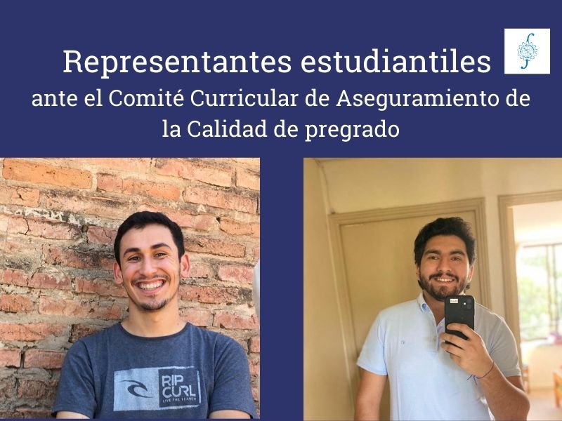 comité curricular comité curricular