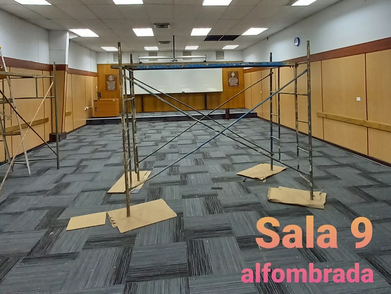 sala 9 alfombra